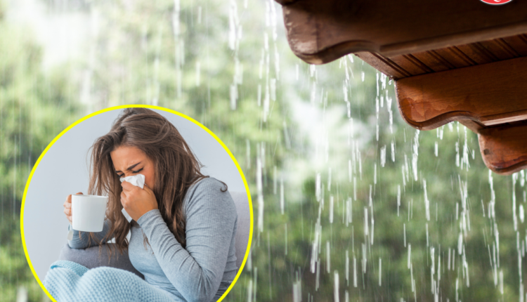 how to stay healthy during sudden summer rain tips