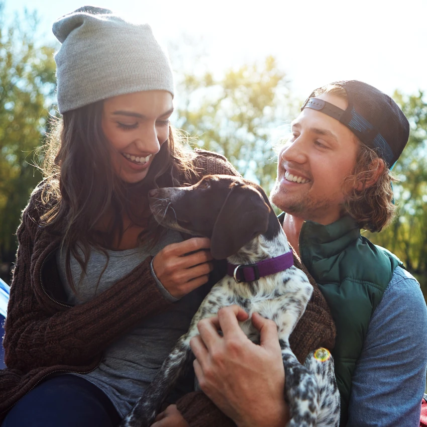 मैत्रीण आवडत नसलेल्या कुत्र्यासाठी उपायांवर काम करणारे जोडपे