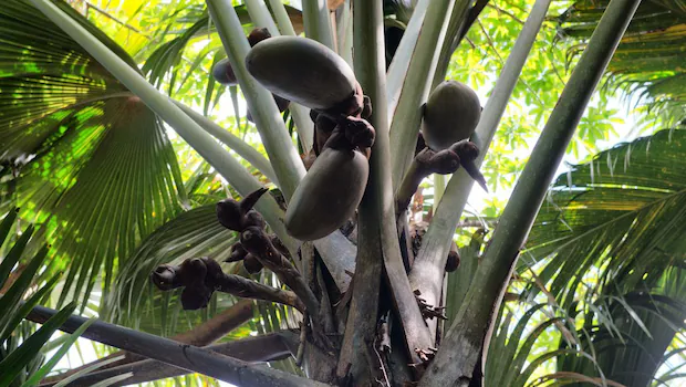 NDTV वर ताज्या आणि ताज्या बातम्या