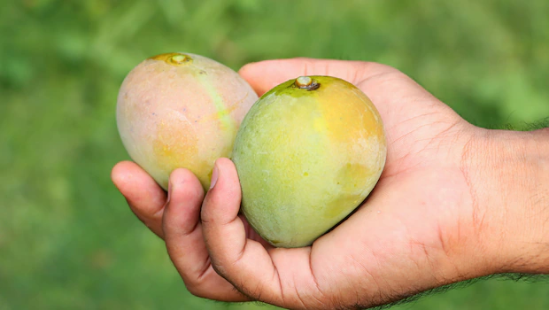 NDTV वर ताज्या आणि ताज्या बातम्या NDTV वर ताज्या आणि ताज्या बातम्या