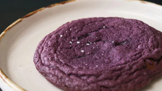 NDTV वर ताज्या आणि ताज्या बातम्या