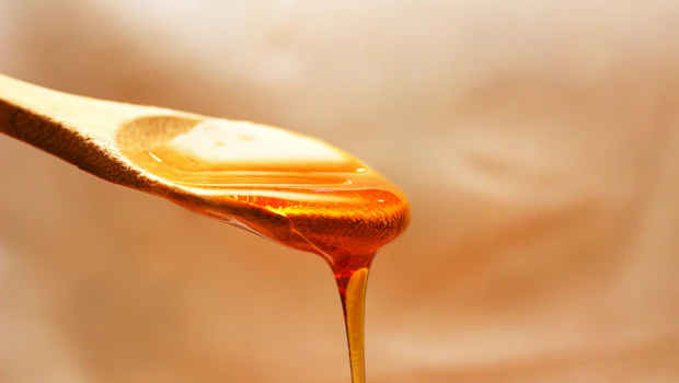 NDTV वर ताज्या आणि ताज्या बातम्या