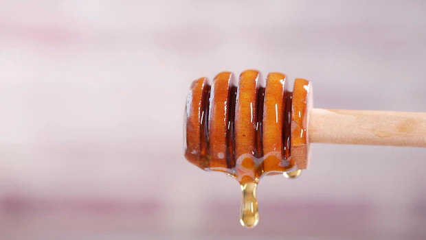 NDTV वर ताज्या आणि ताज्या बातम्या