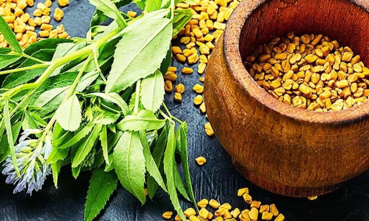 केसांसाठी मेथीचे पाणी