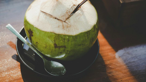 NDTV वर ताज्या आणि ताज्या बातम्या NDTV वर ताज्या आणि ताज्या बातम्या