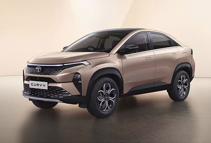 curvy आया curvy आया