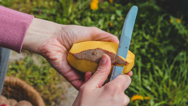 NDTV वर ताज्या आणि ताज्या बातम्या