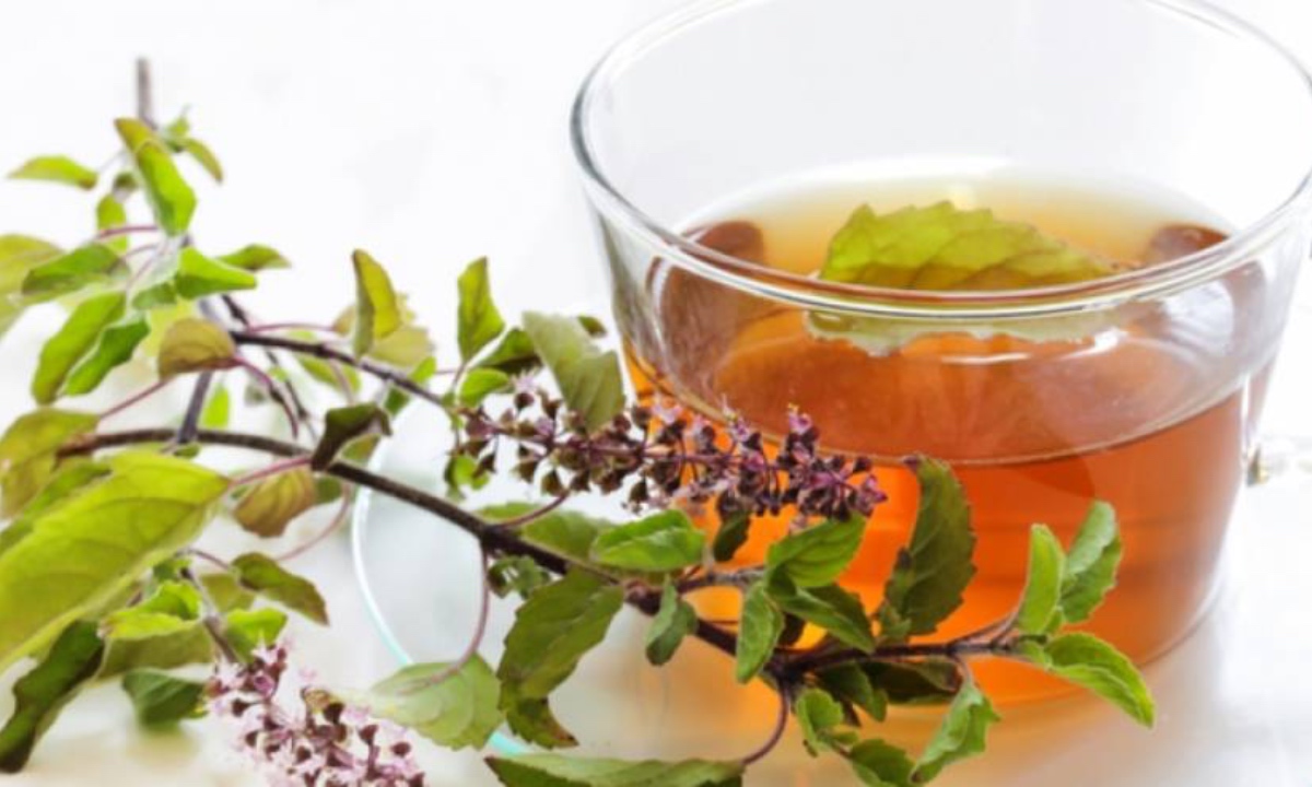 आरोग्यासाठी तुळशीचे पाणी