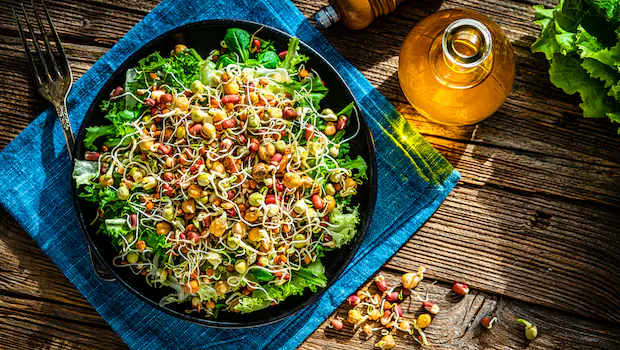 NDTV वर ताज्या आणि ताज्या बातम्या