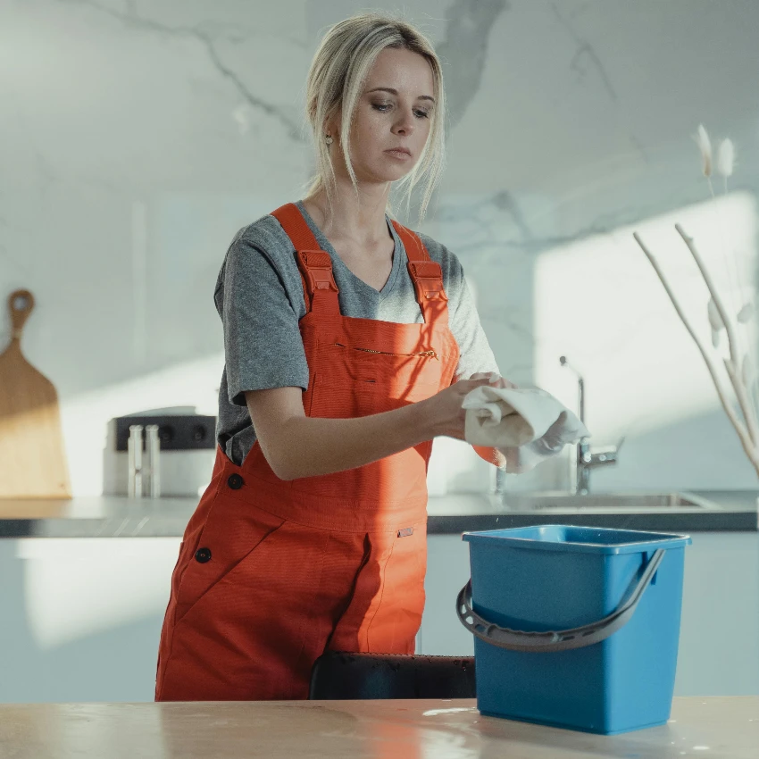 व्यावसायिक घर क्लिनर