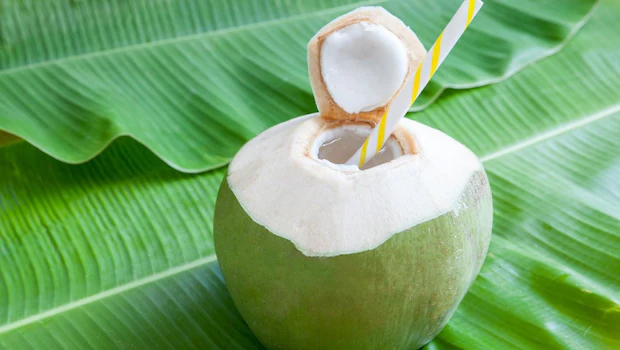 NDTV वर ताज्या आणि ताज्या बातम्या