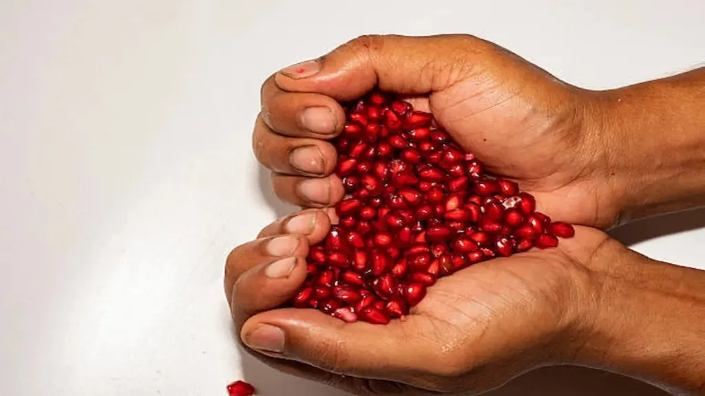 ते नियमितपणे खाल्ल्याने हृदयविकाराचा धोका कमी होतो आणि कोलेस्ट्रॉल नियंत्रणात राहते.