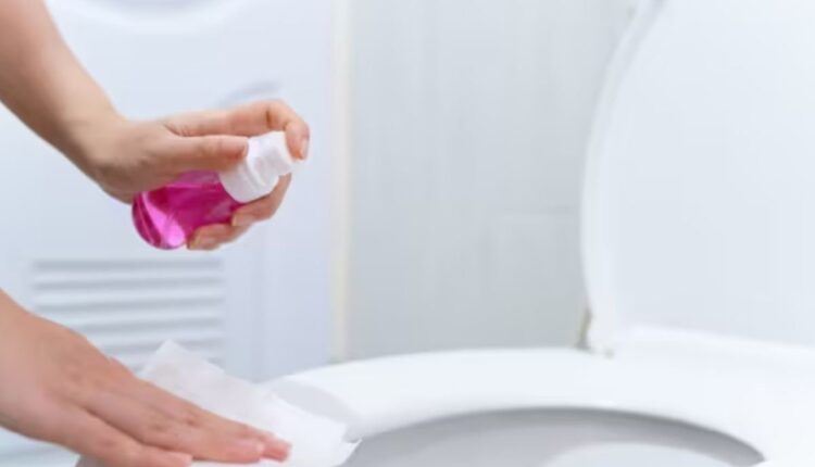 सार्वजनिक शौचालय वापरताना घ्या खबरदारी