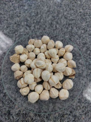 क्रेडिट: ॲड्रियानो गोन्साल्विस डॉस रेस