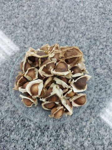 क्रेडिट: ॲड्रियानो गोन्साल्विस डॉस रेस