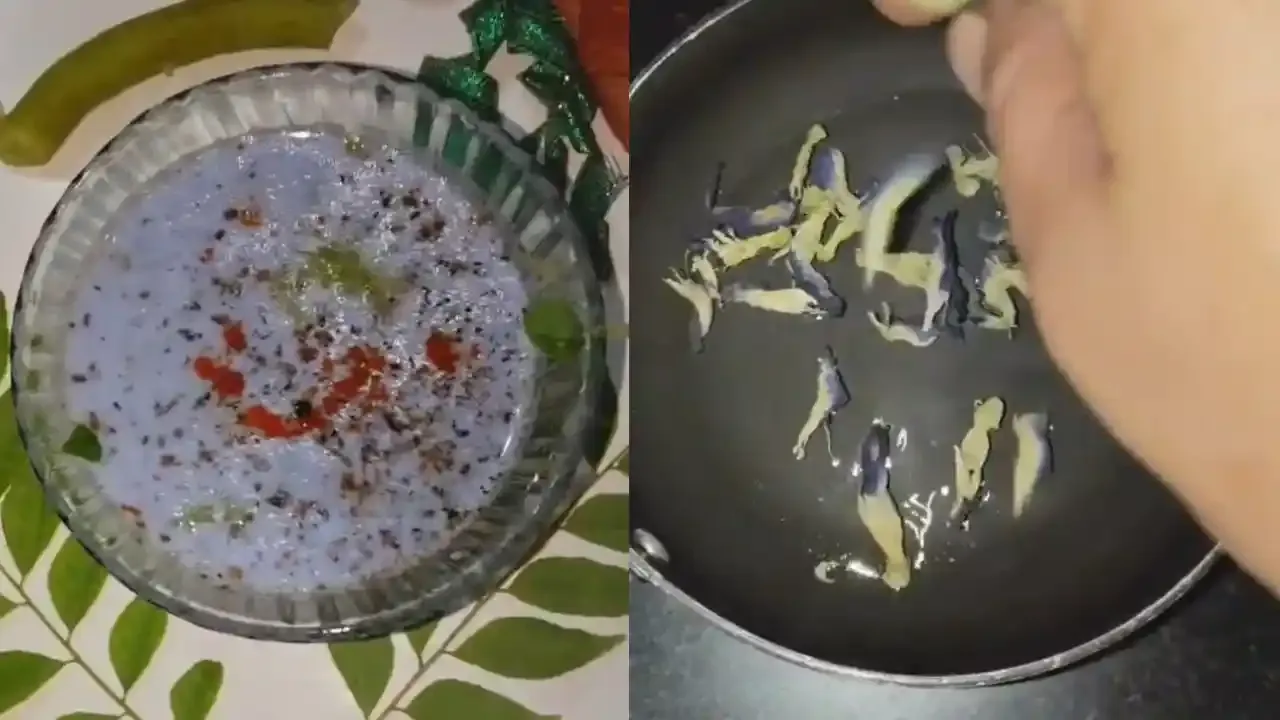 मटारचे फूल आणि काकडीचा रायता एका काचेच्या भांड्यात निळ्या वाटाण्याच्या पाकळ्यांसोबत पॅनमध्ये परतून घेतला जात आहे.