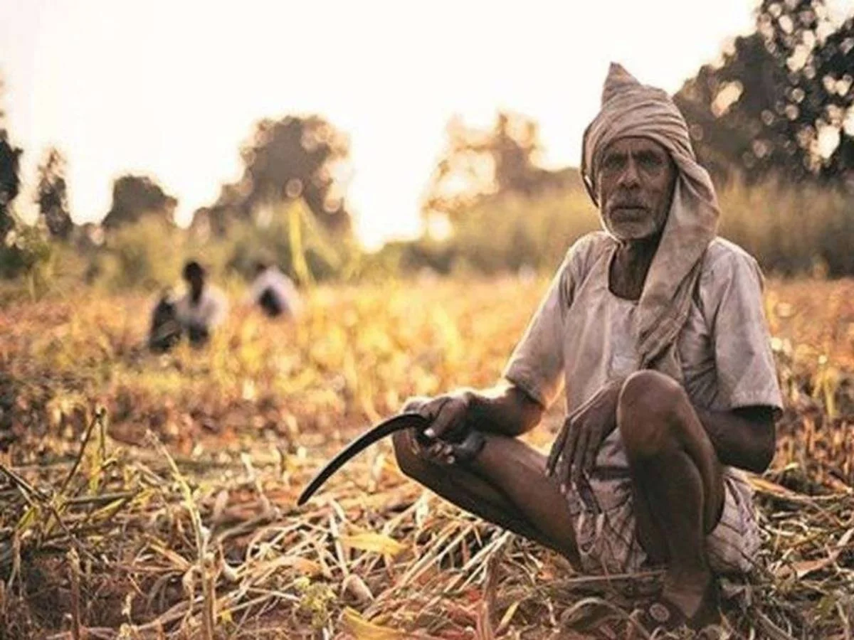 कर्जमाफीची घोषणा होऊनही शेतकऱ्यांच्या आत्महत्या सुरूच आहेत