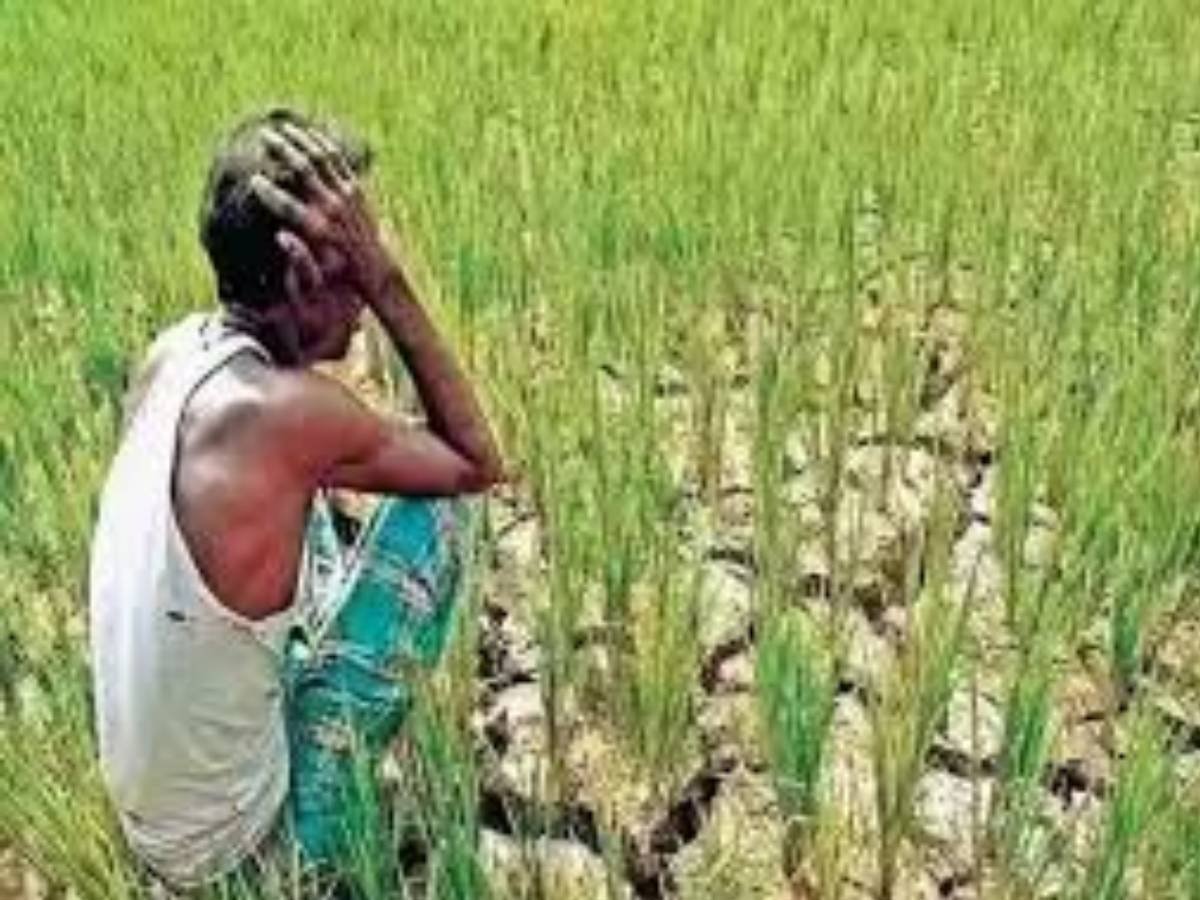 कर्जमाफीची घोषणा होऊनही शेतकऱ्यांच्या आत्महत्या सुरूच आहेत
