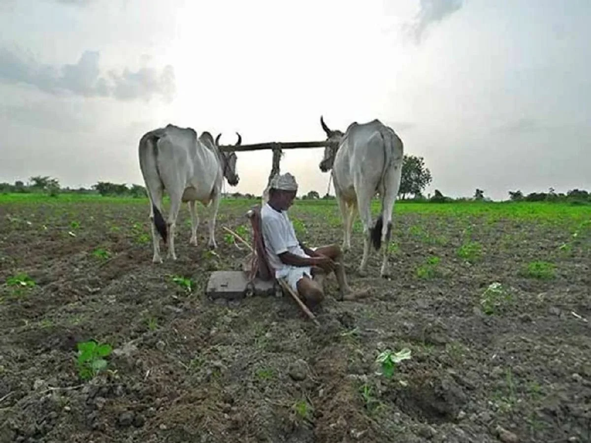 कर्जमाफीची घोषणा होऊनही शेतकऱ्यांच्या आत्महत्या सुरूच आहेत