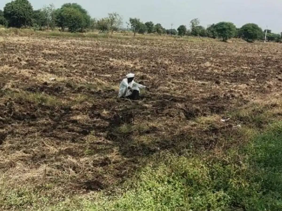 कर्जमाफीची घोषणा होऊनही शेतकऱ्यांच्या आत्महत्या सुरूच आहेत