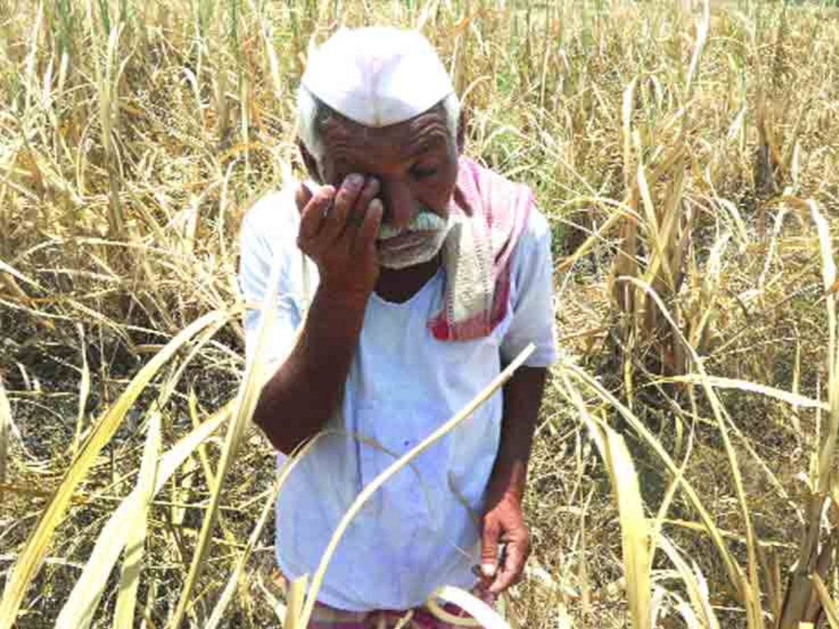 कर्जमाफीची घोषणा होऊनही शेतकऱ्यांच्या आत्महत्या सुरूच आहेत