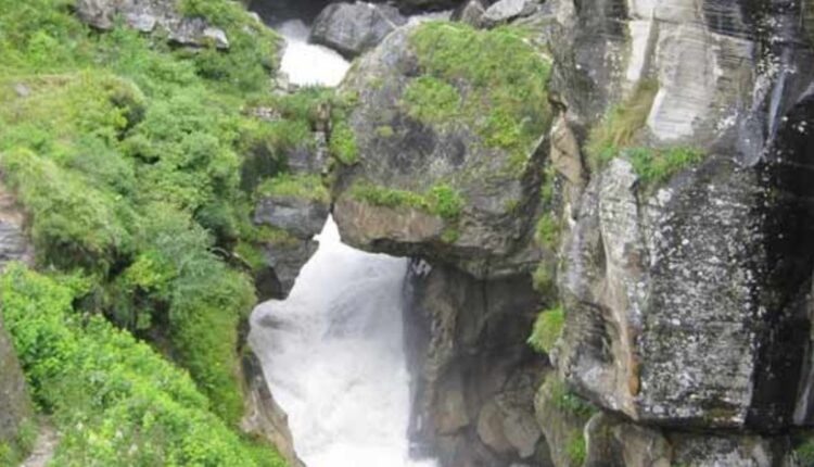 लहान मुलांच्या डाएटमध्ये ‘हे’ मासे हवेच