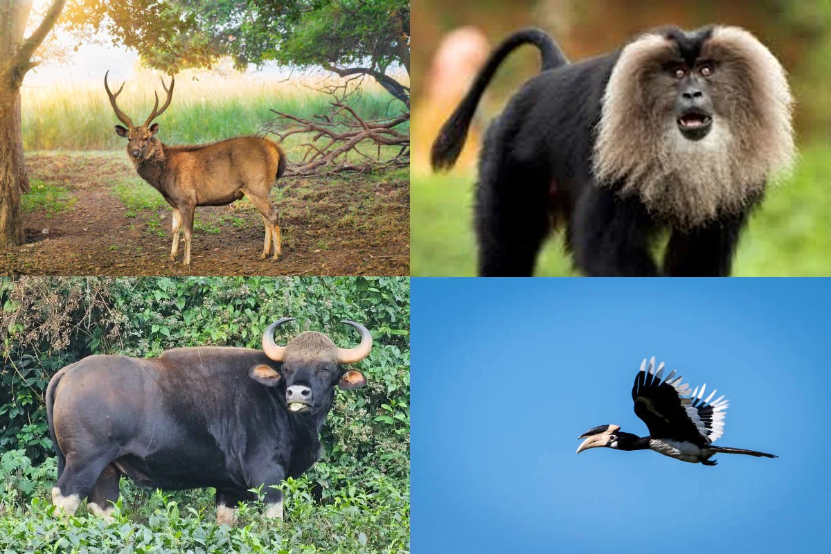 तामिळनाडूमधील पर्यटन स्थळ