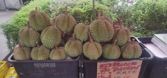 सिंगापूरमधील स्टोअरमध्ये ब्लॅक थॉर्न ड्युरियन्स विक्रीसाठी. Facebook/Hojiak Durian & Fruits - Jurong East वरून फोटो