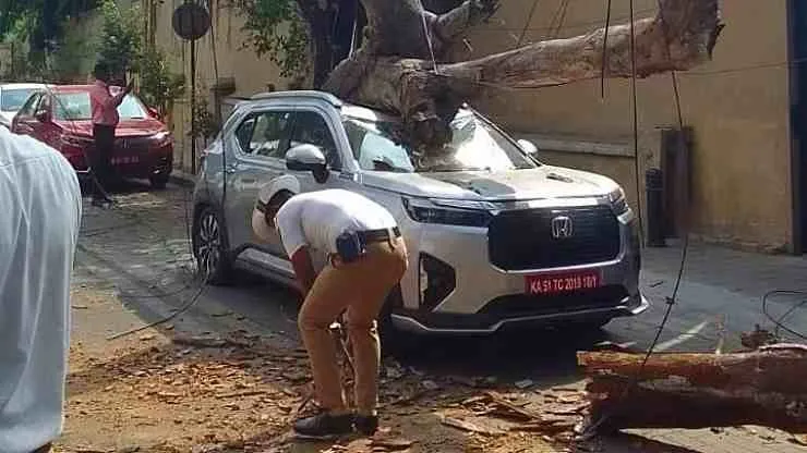 सनरूफचे संरक्षण कसे करावे