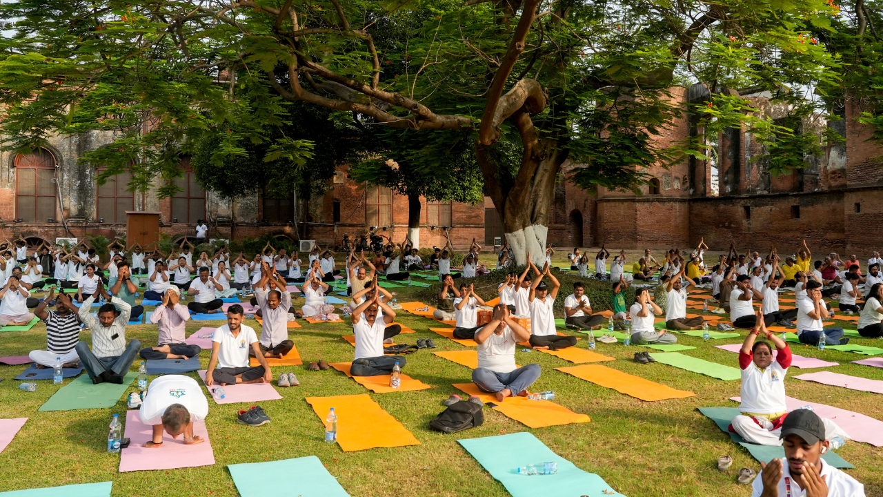 मुस्कान दीक्षित - १२ वा आंतरराष्ट्रीय योग दिन अमृत विचार