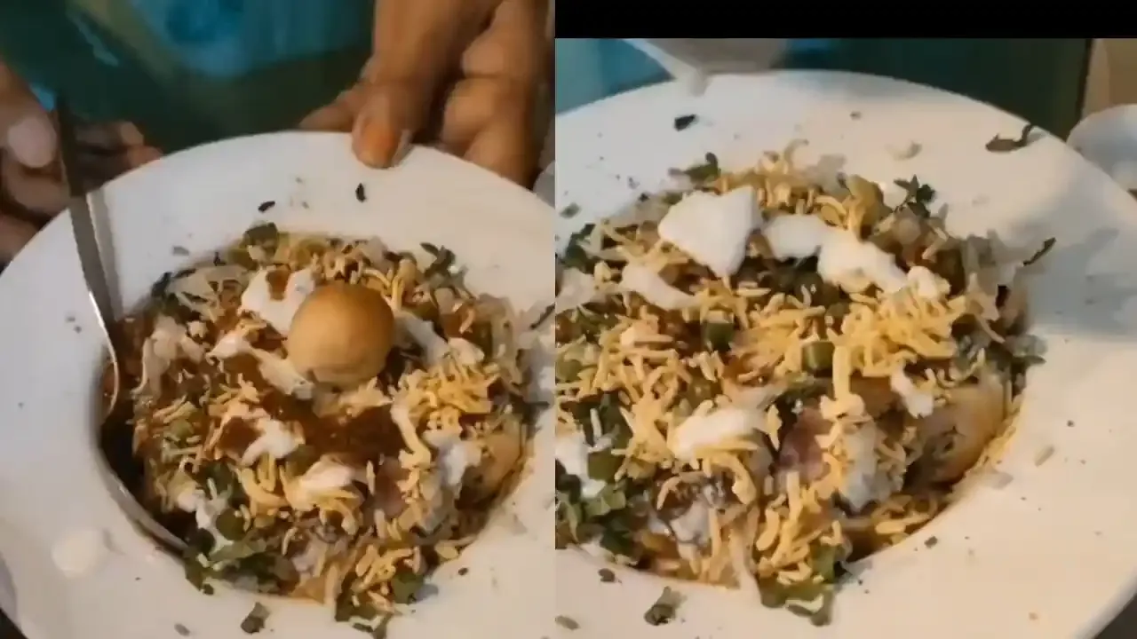 दही, तिखट चटण्या, कुरकुरीत शेव आणि ताज्या हिरव्या वनस्पतींसह स्वादिष्ट लिट्टी चाट देणारा हात.