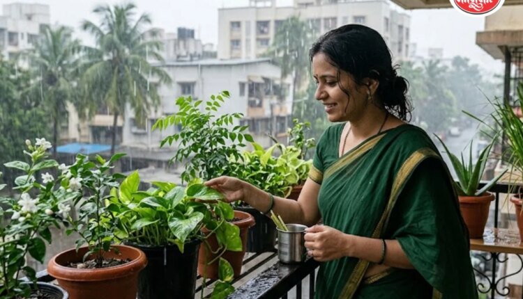 पावसाळ्यातील गार्डनिंग
