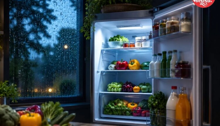 monsoon fridge temperature guide keep food fresh safe