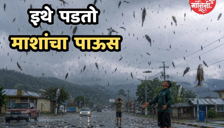 sky fish rain