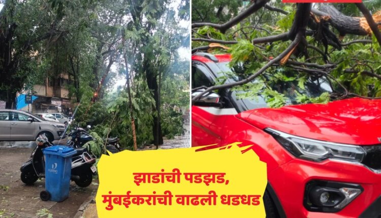 मुसळधार पाऊस अन् वादळी वारे, मुंबईत झाडांची पडझड झाल्याने मोठे नुकसान