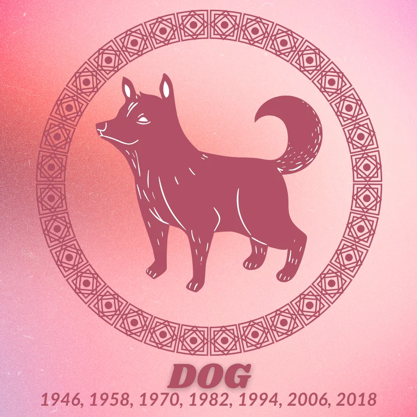 9 जुलै 2026 रोजी कुत्रा चायनीज राशीय चिन्ह भाग्य आनंद
