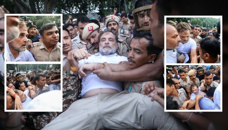 Delhi Police dragged away Rahul Gandhi, Rahul Gandhi news, rahul gandhi protest, Narendra Modi news, protest news, cjp protest news, राहुल गांधी, काँग्रेस आंदोलन