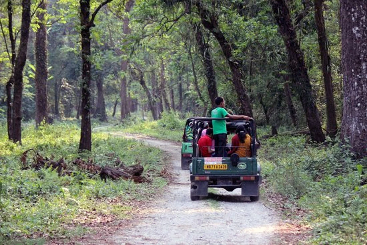 गोरुमारा नॅशनल पार्कमध्ये जंगलातील आगीची खबरदारी म्हणून धुम्रपान करण्यास बंदी आहे