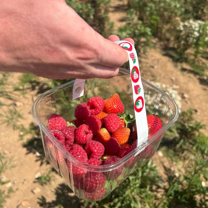 Copas Farms PYO येथे फळांची निवड Copas Farms PYO येथे फळांची निवड