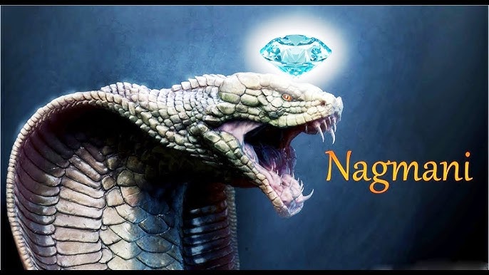 नागमणी रहस्य