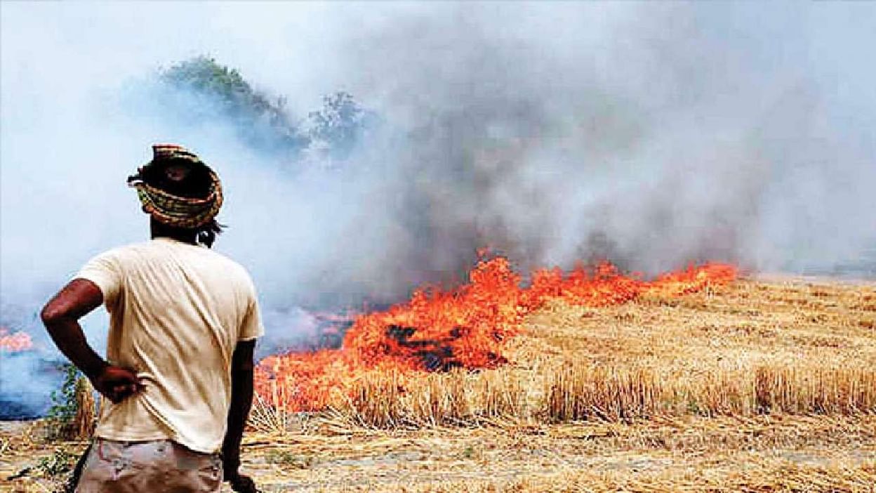 अर्धांगवायू