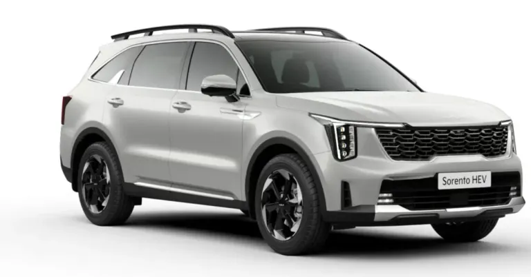 sorento पांढरा sorento पांढरा