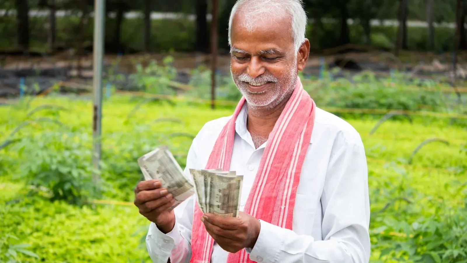 पीएम किसान 24 वा हप्ता